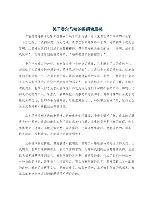 关于费尔马哈的提纲读后感