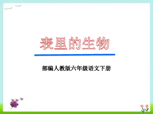 部编版六年级语文下册《表里的生物》优选课件PPT