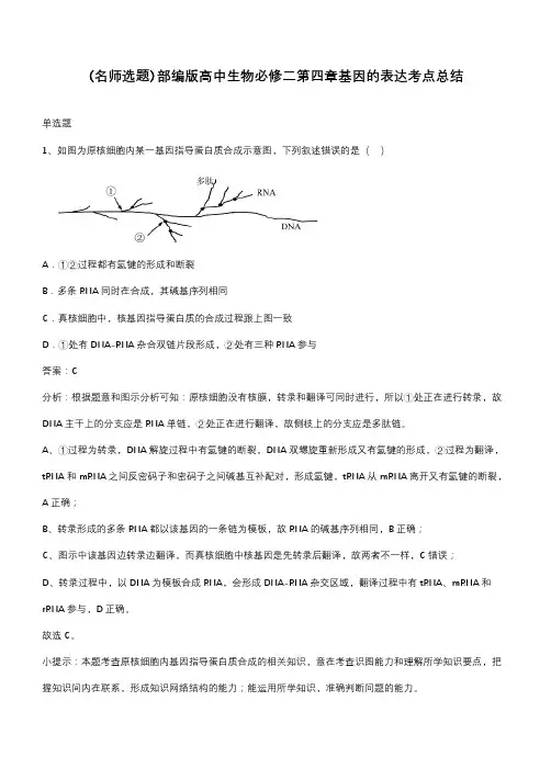 部编版高中生物必修二第四章基因的表达考点总结