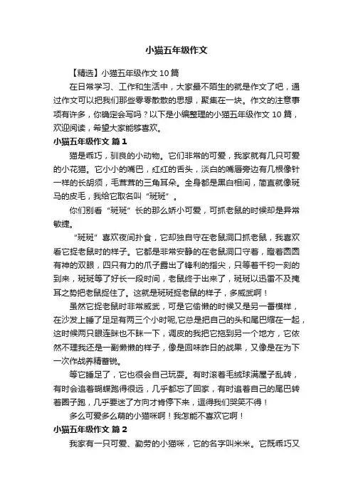 【精选】小猫五年级作文10篇