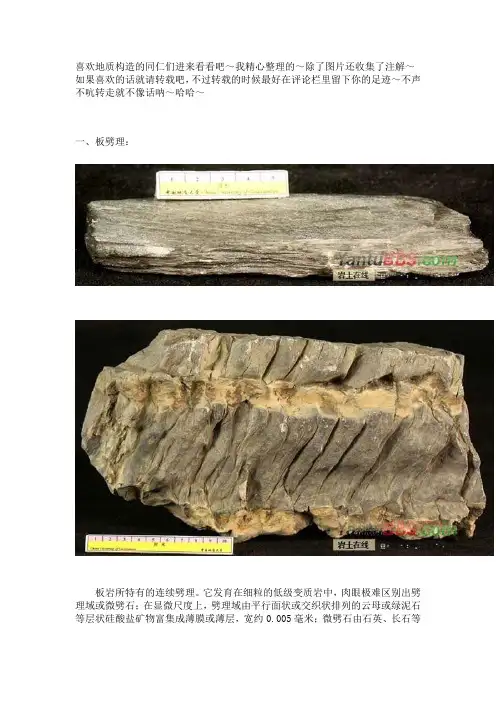 各种构造图解