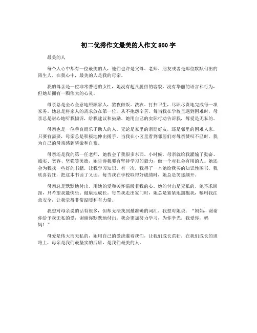 初二优秀作文最美的人作文800字