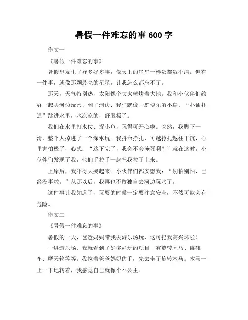 暑假一件难忘的事600字