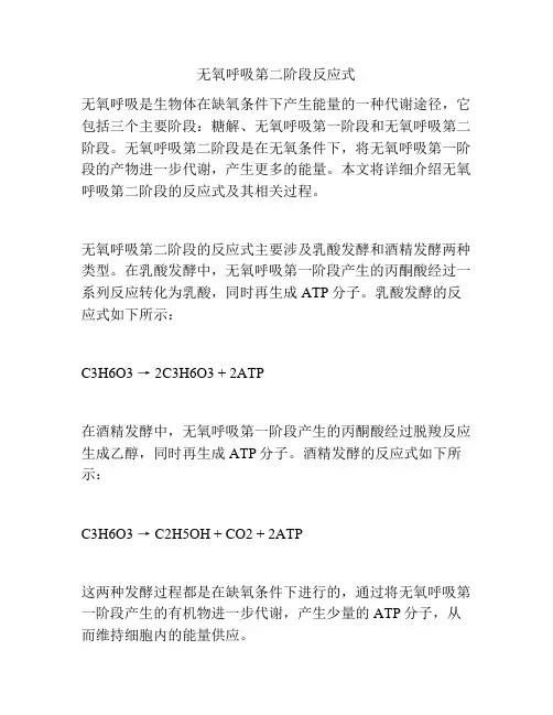 无氧呼吸第二阶段反应式