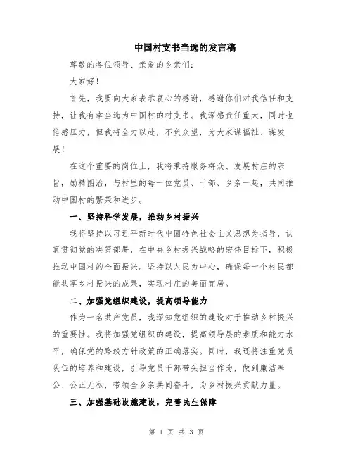 中国村支书当选的发言稿