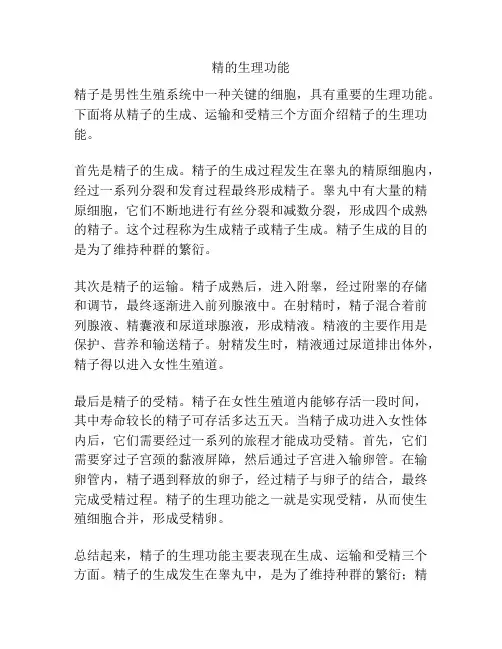 精的生理功能