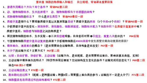 07 物质运输-2024年高考生物一轮复习(新教材新高考)