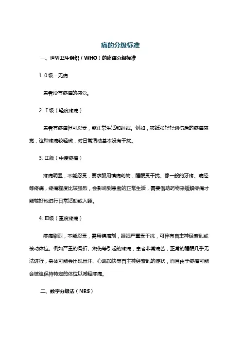 痛的分级标准