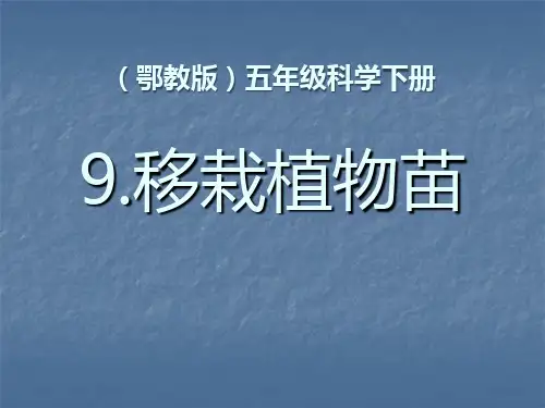 《移载植物苗》PPT课件