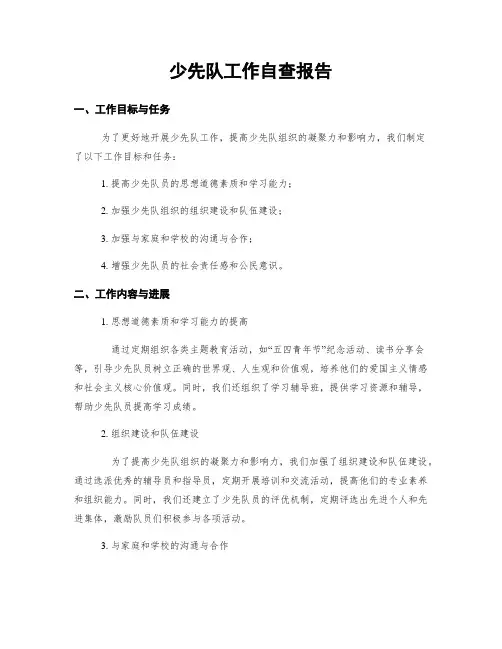 少先队工作自查报告