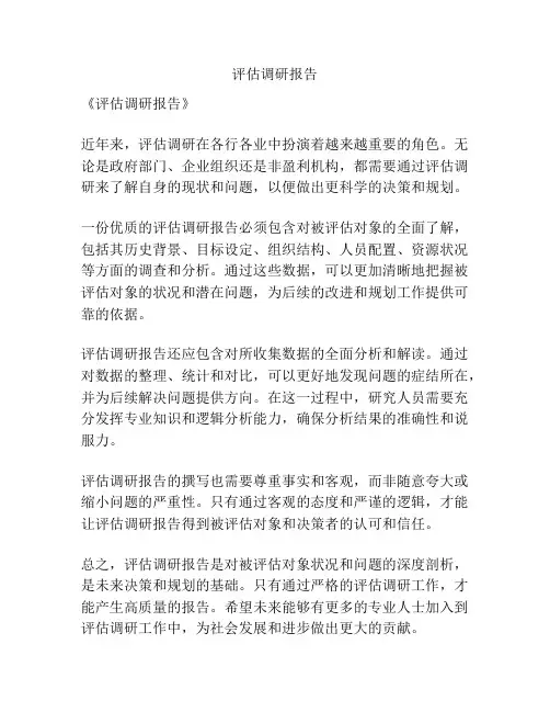 评估调研报告