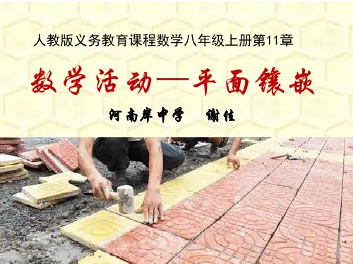 数学活动-平面镶嵌