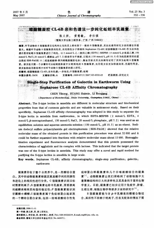 琼脂糖凝胶CL-6B亲和色谱法一步纯化蚯蚓半乳凝素