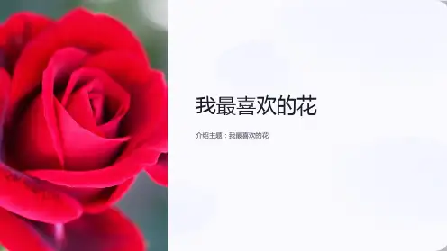 写一种自己喜欢的花小学生作文指导课件