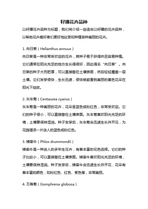 籽播花卉品种