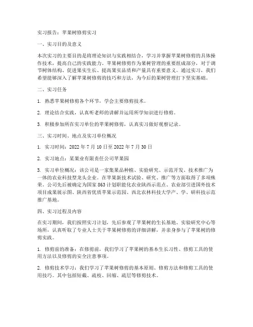 苹果树的修剪实习报告