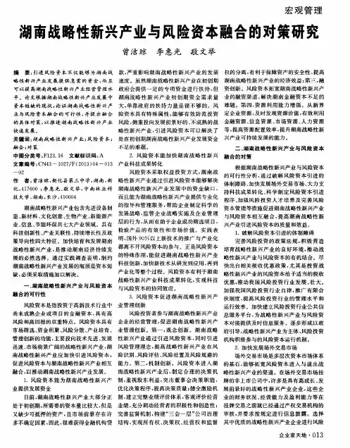 湖南战略性新兴产业与风险资本融合的对策研究