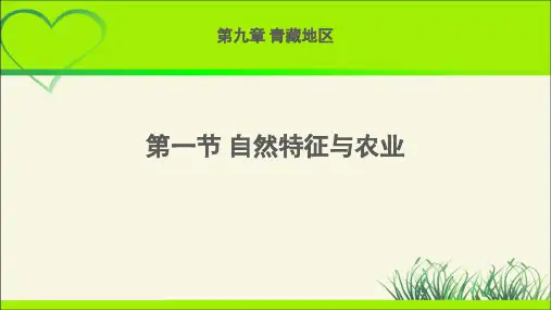 《自然特征与农业(青藏地区)》示范课教学课件【地理人教版八年级下册】