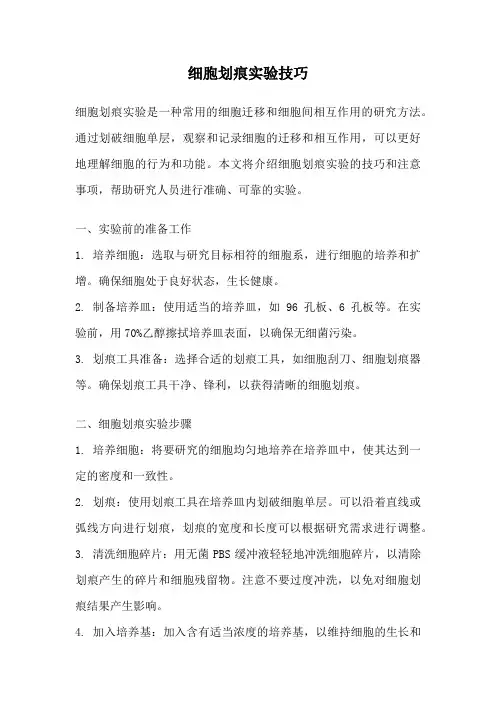 细胞划痕实验技巧