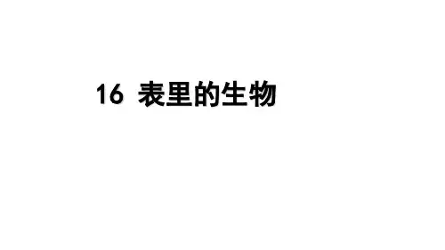 最新部编版六年级下册语文课件第16课表里的生物(共28张PPT)