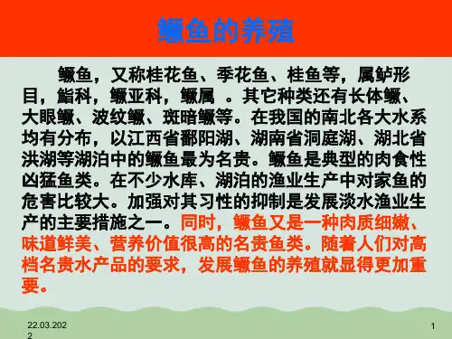 鳜鱼的养殖方法PPT(共76页)