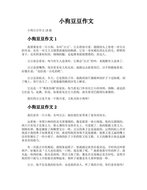 小狗豆豆作文