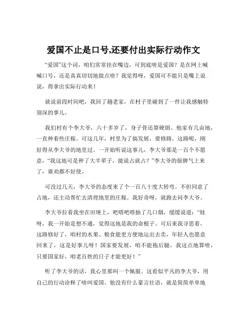 爱国不止是口号,还要付出实际行动作文