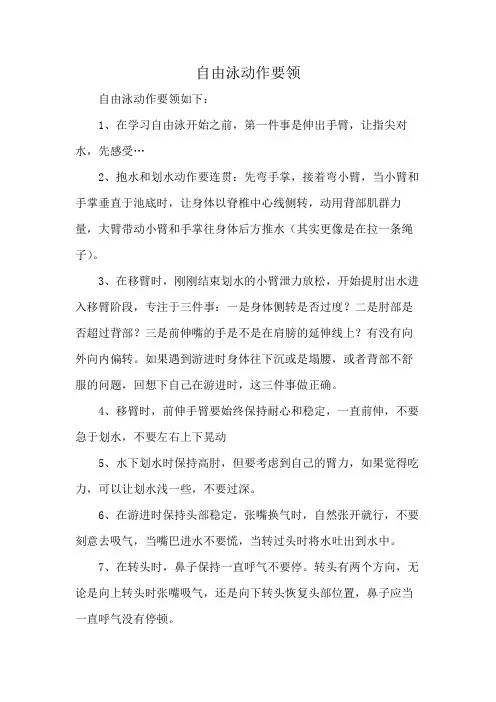 自由泳动作要领