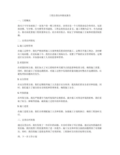 工程自查自纠情况报告