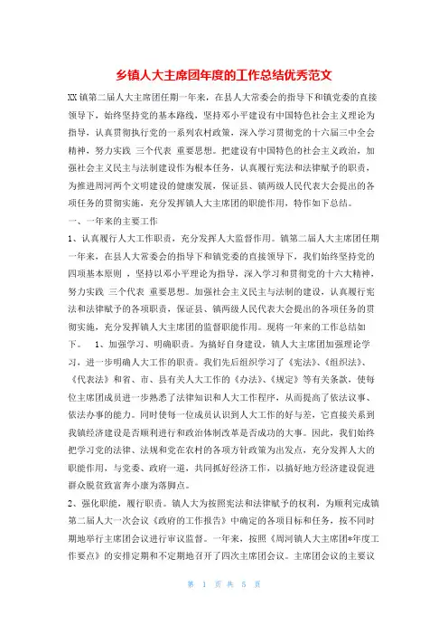 乡镇人大主席团年度的工作总结优秀范文年度工作总结
