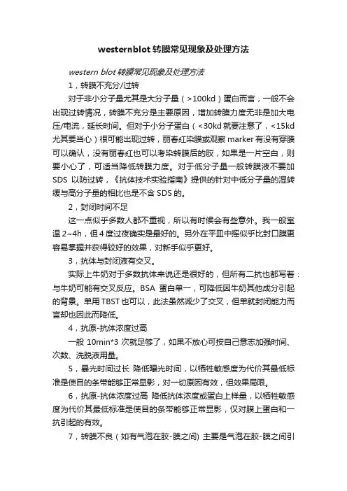 westernblot转膜常见现象及处理方法