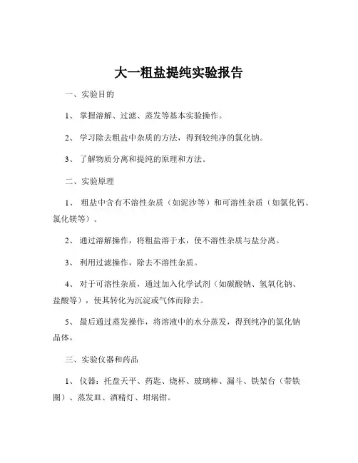 大一粗盐提纯实验报告