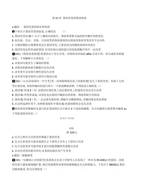 2023届  一轮复习   人教版 基因突变和基因重组 作业