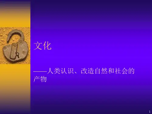 《社会学概论》文化