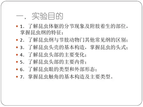 普通昆虫学实验