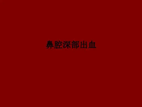 鼻腔深部出血ppt课件