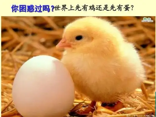 高三第一学期生物公开课-人教版必修2第七章第一节现代生物进化理论的由来共39张PPT
