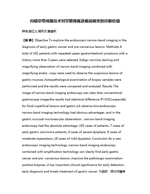 内镜窄带成像技术对早期胃癌及癌前病变的诊断价值