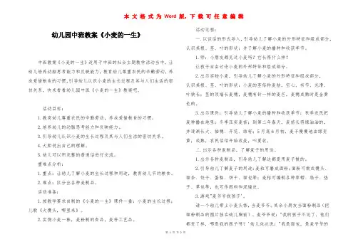 幼儿园中班教案《小麦的一生》