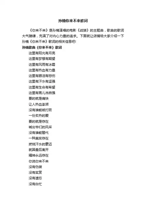 孙楠你来不来歌词