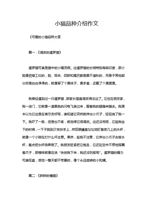 小猫品种介绍作文