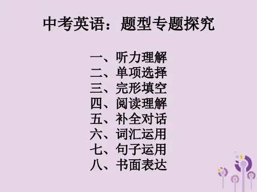 人教新课标2021年中考英语总复习题型专题探究课件