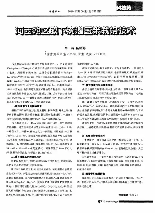 河西地区膜下滴灌玉米栽培技术