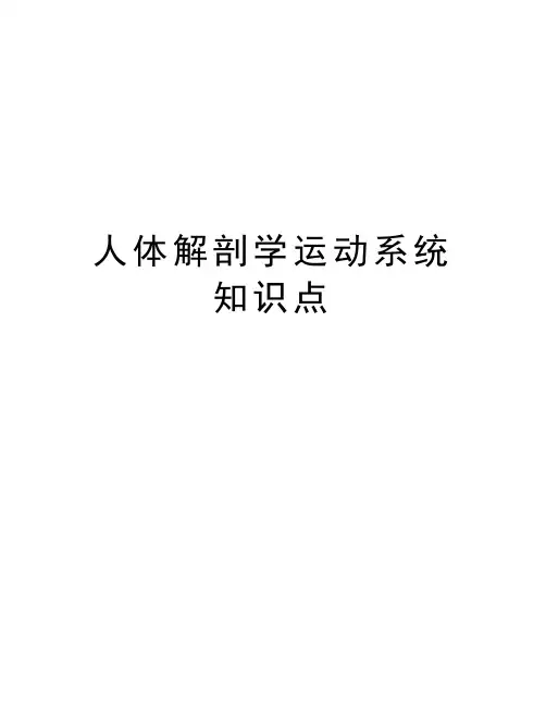 人体解剖学运动系统知识点资料讲解