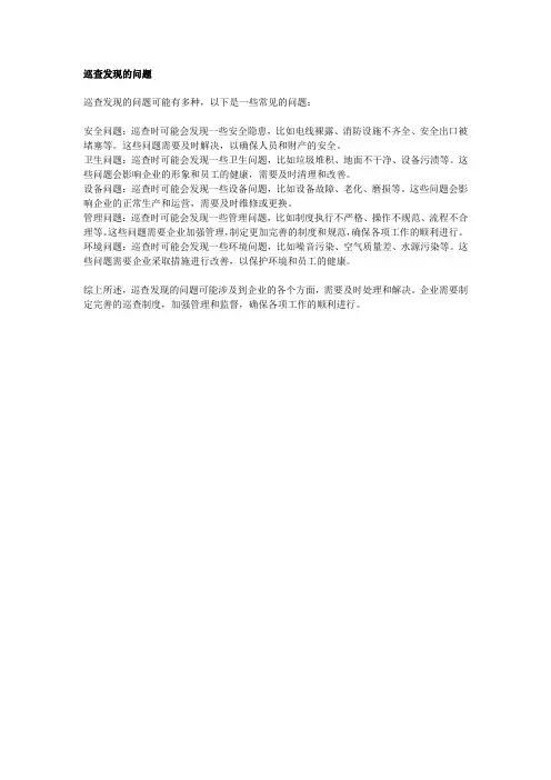 巡察发现的问题