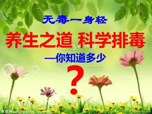 排毒幻灯-第一天