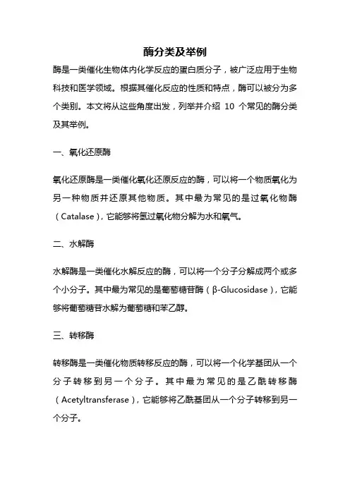 酶分类及举例