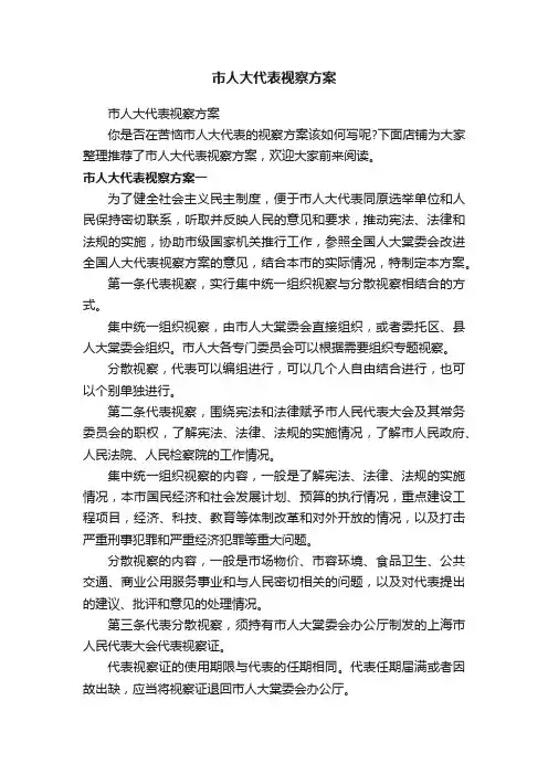 市人大代表视察方案