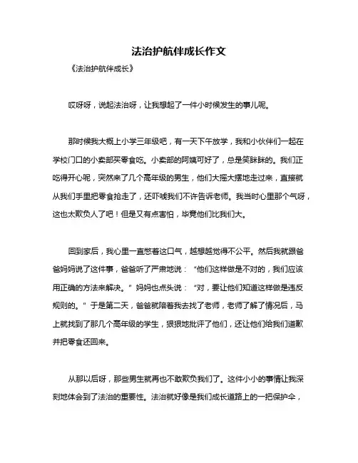 法治护航伴成长作文