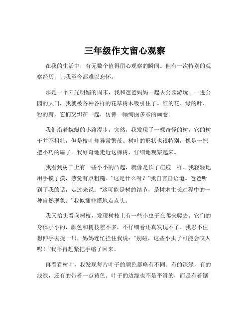 三年级作文留心观察